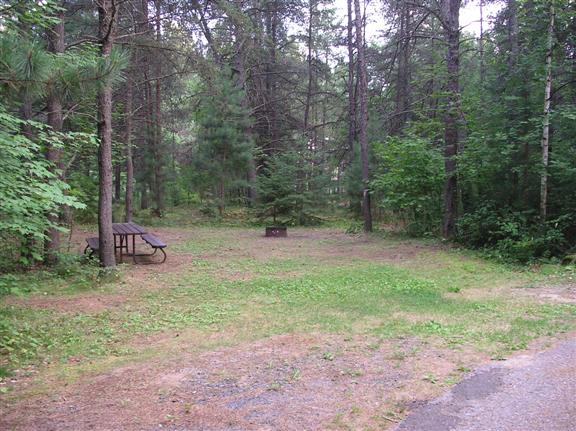 View of site 79. Very large spacious location surrounded by evergreens.
