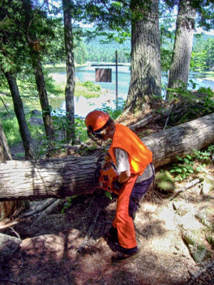Clearing a large tree from a portage trail.