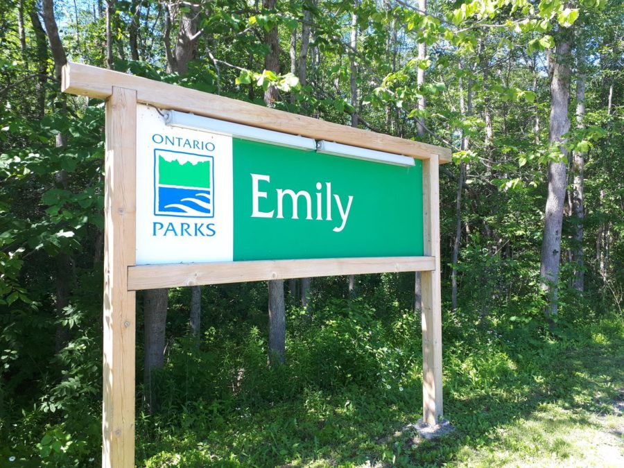Front entrance sign at Emily.