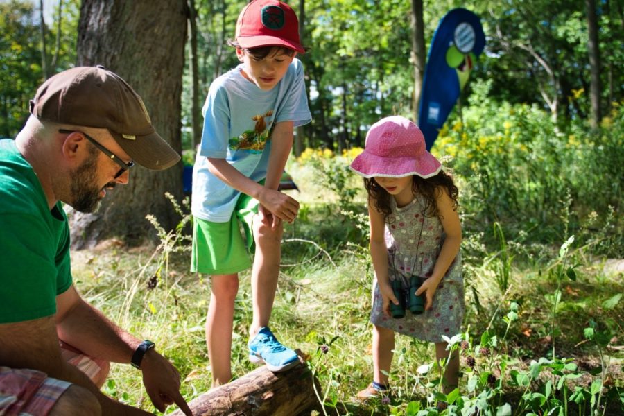 A family explores for insects on a fallen log during a Discovery Drop-in.