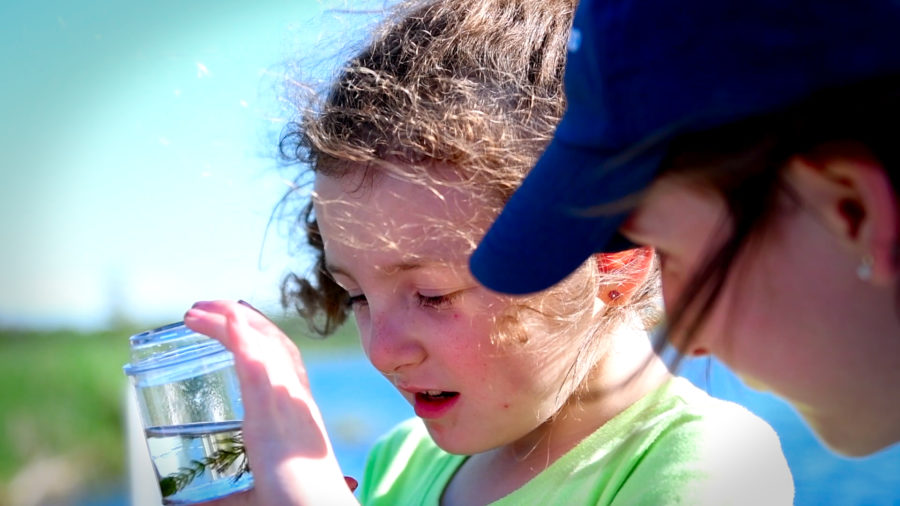Une visiteuse examinant un verre contenant un animal aquatique durant un des programmes.