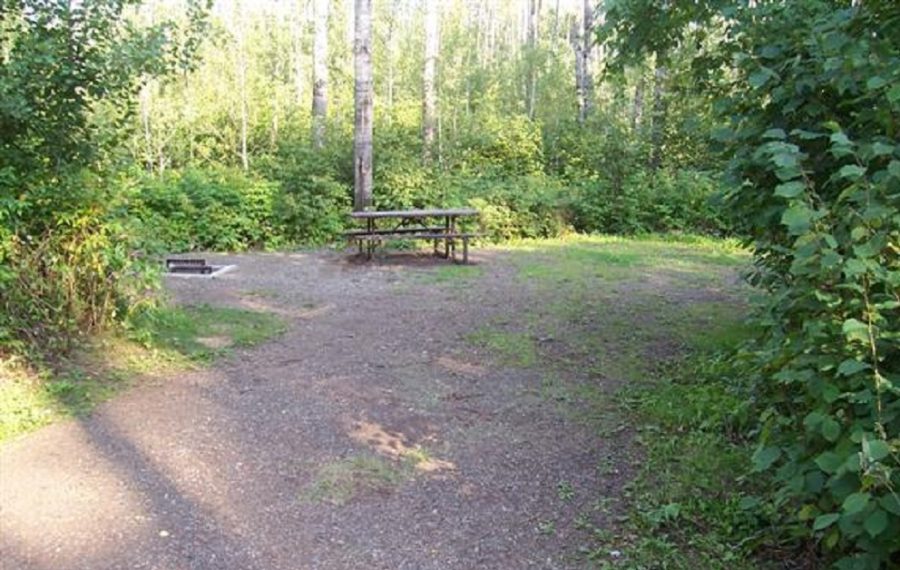 View of site 79 with picnic table and fire-pit. 