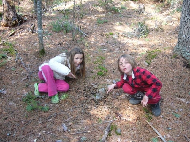 Jordan and her younger brother on the ground investigating moose scat.