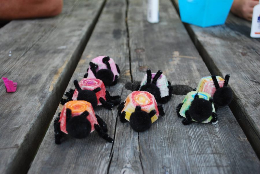 A collection of ladybugs created by campers during the program.