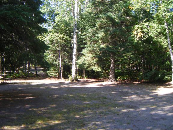 View of site 50 showing large open space with shade.