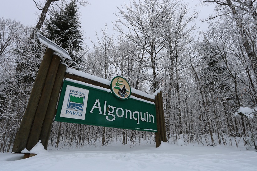 Panneau d’entrée du parc Algonquin dans la neige.