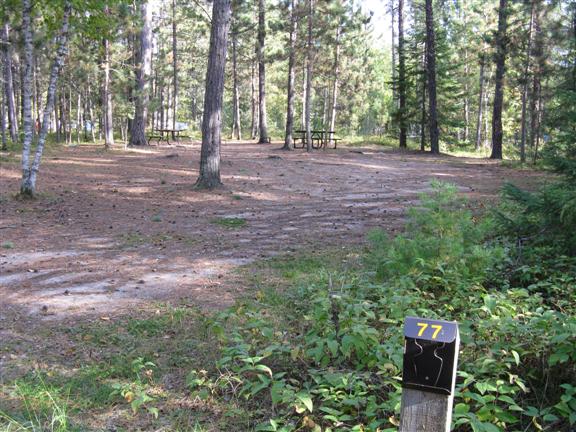 View of site 77.