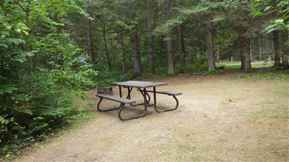 View of site 107 with picnic table in frame.
