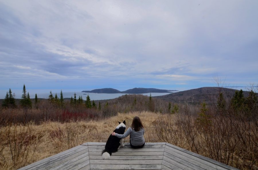 Laura et Sitka admirent la vue de l’île de Pic à partir de la plate-forme d’observation.