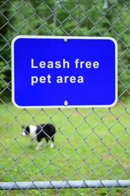 Picture taken through the fence with a sign that says "leash free pet area" with Sitka in the background.