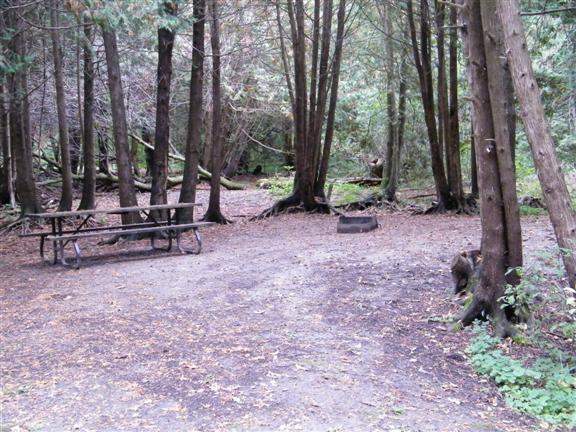 View of site 68 shows it in a cedar grove.