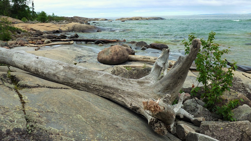 Rocky shorelien with driftwood along Lake Superior