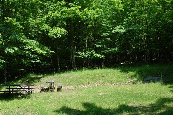 View of site 11 shows wide open space with tall trees surrounding it.