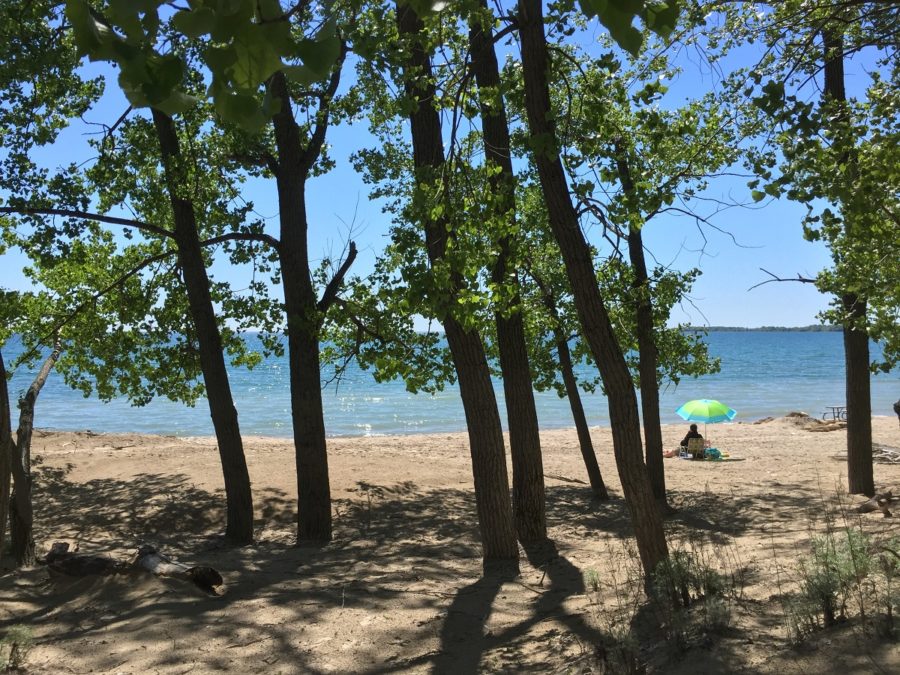 woman in chair on beach, screened by trees