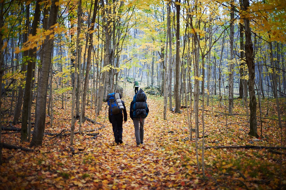 couple hiking