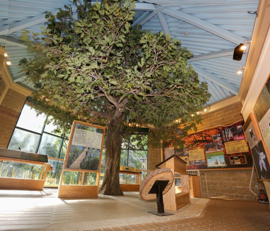 View of the inside of the visitor center at Pinery.