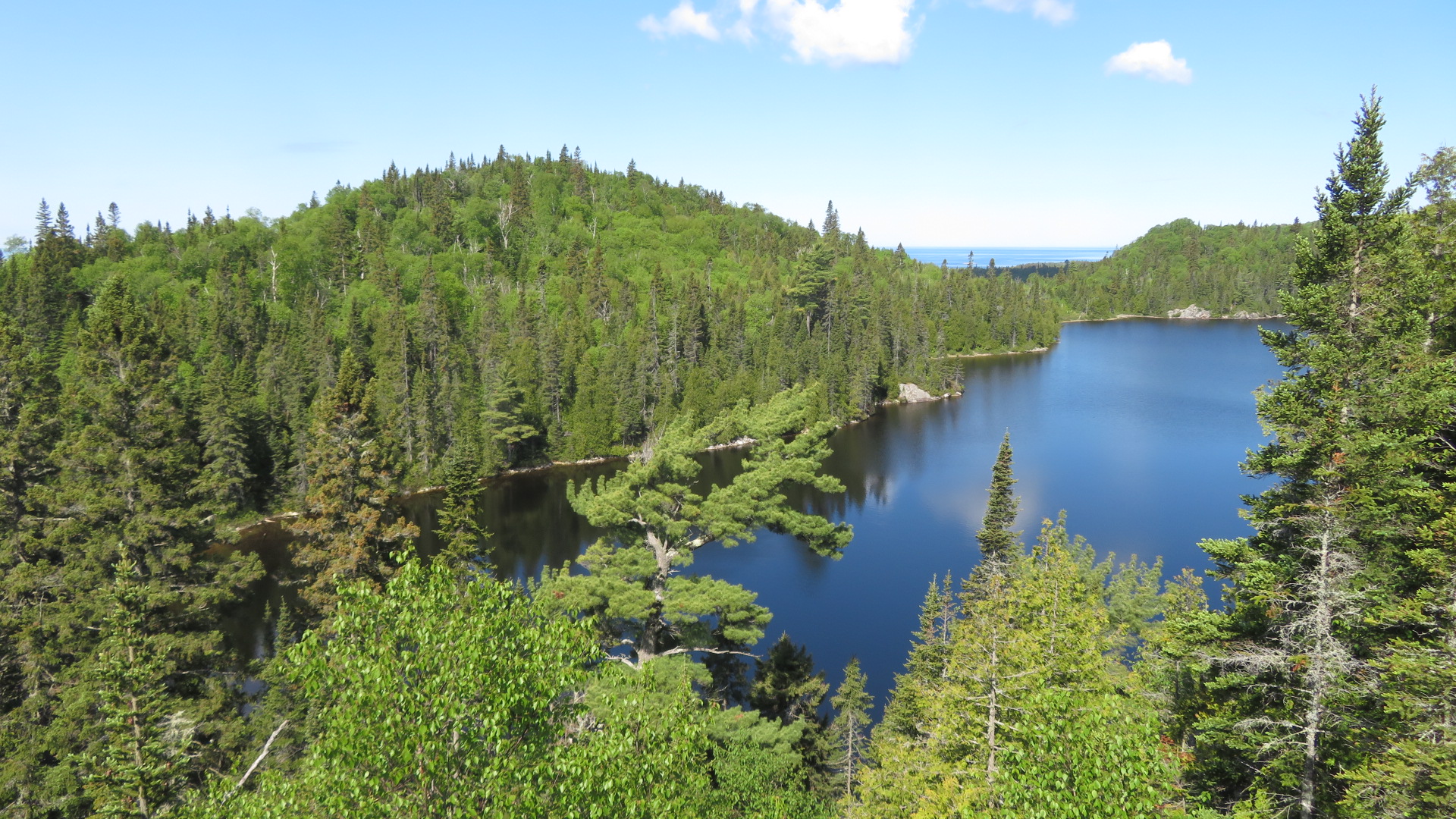 View from first lookout on Orphan Lake.