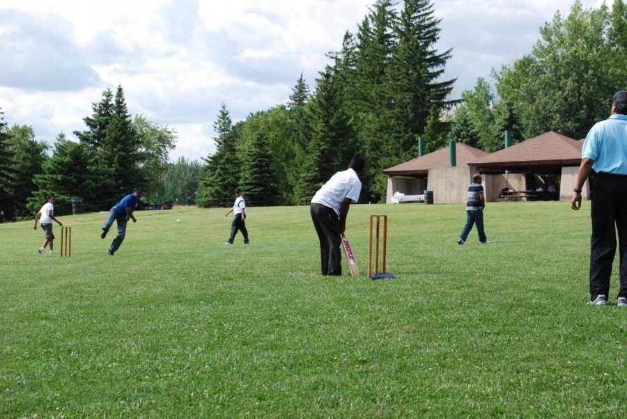 Men playing cricket on green grass.