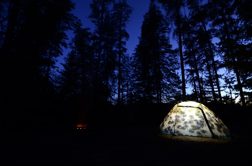 Lit up tent in trees at night