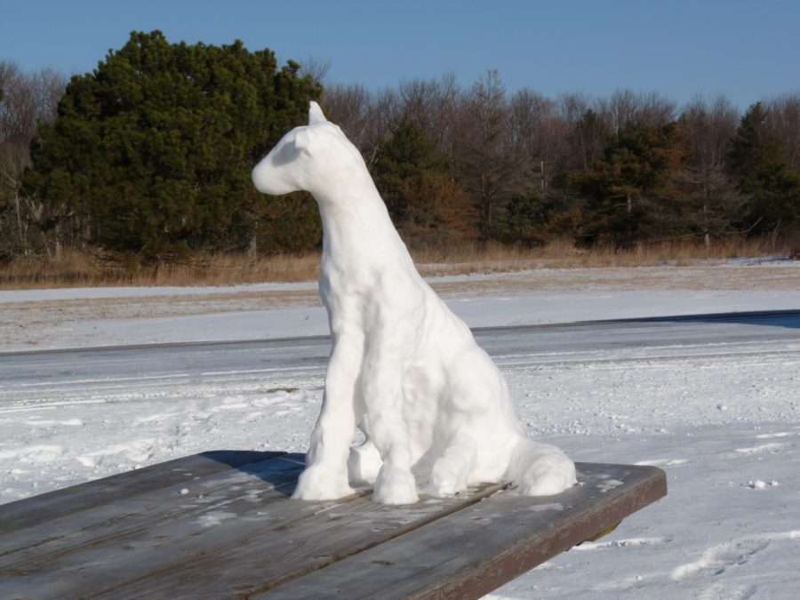 Ice Sculpture 
