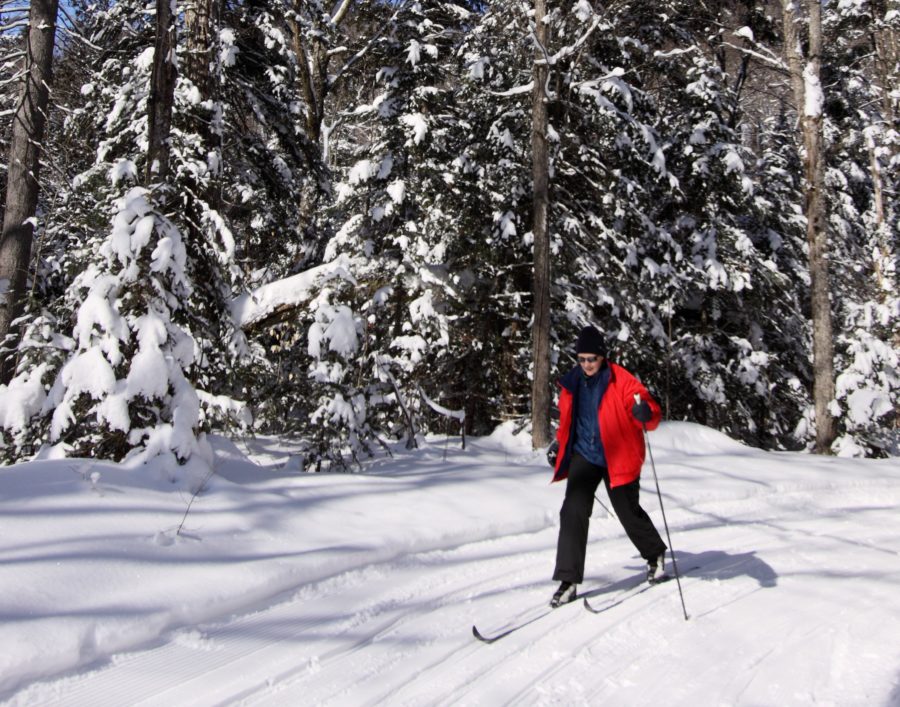 Un homme skiant sur la piste de ski du lac Fen dans le parc Algonquin