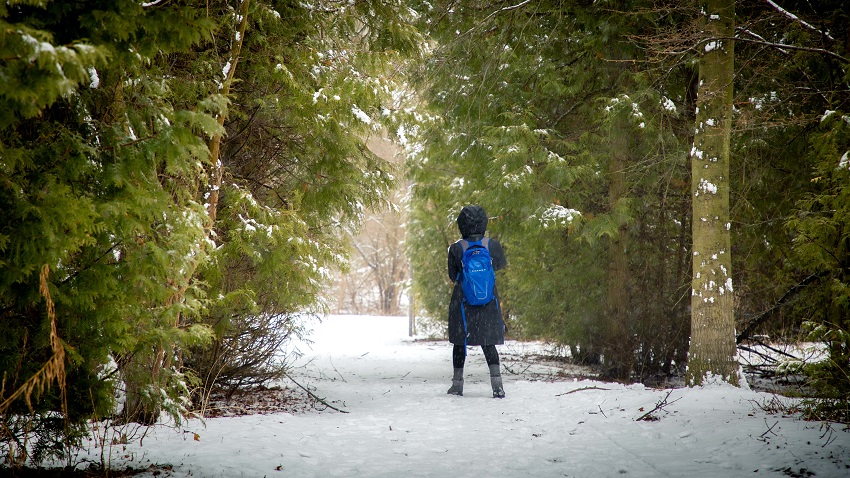 Person on snowy trail