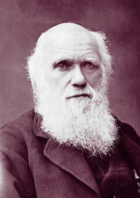 Un portrait de Charles Darwin