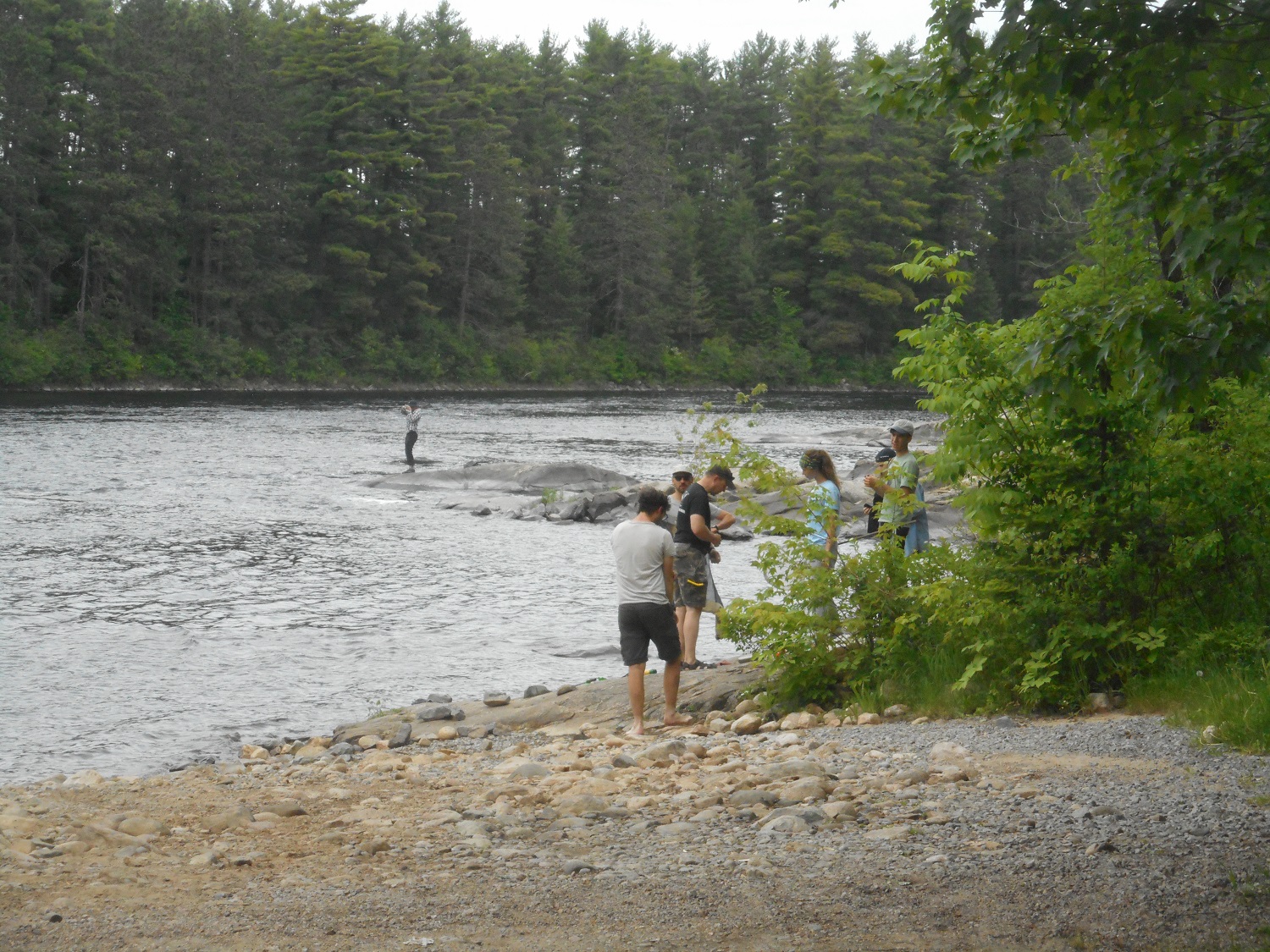 a group of naturalists explore a shoreline