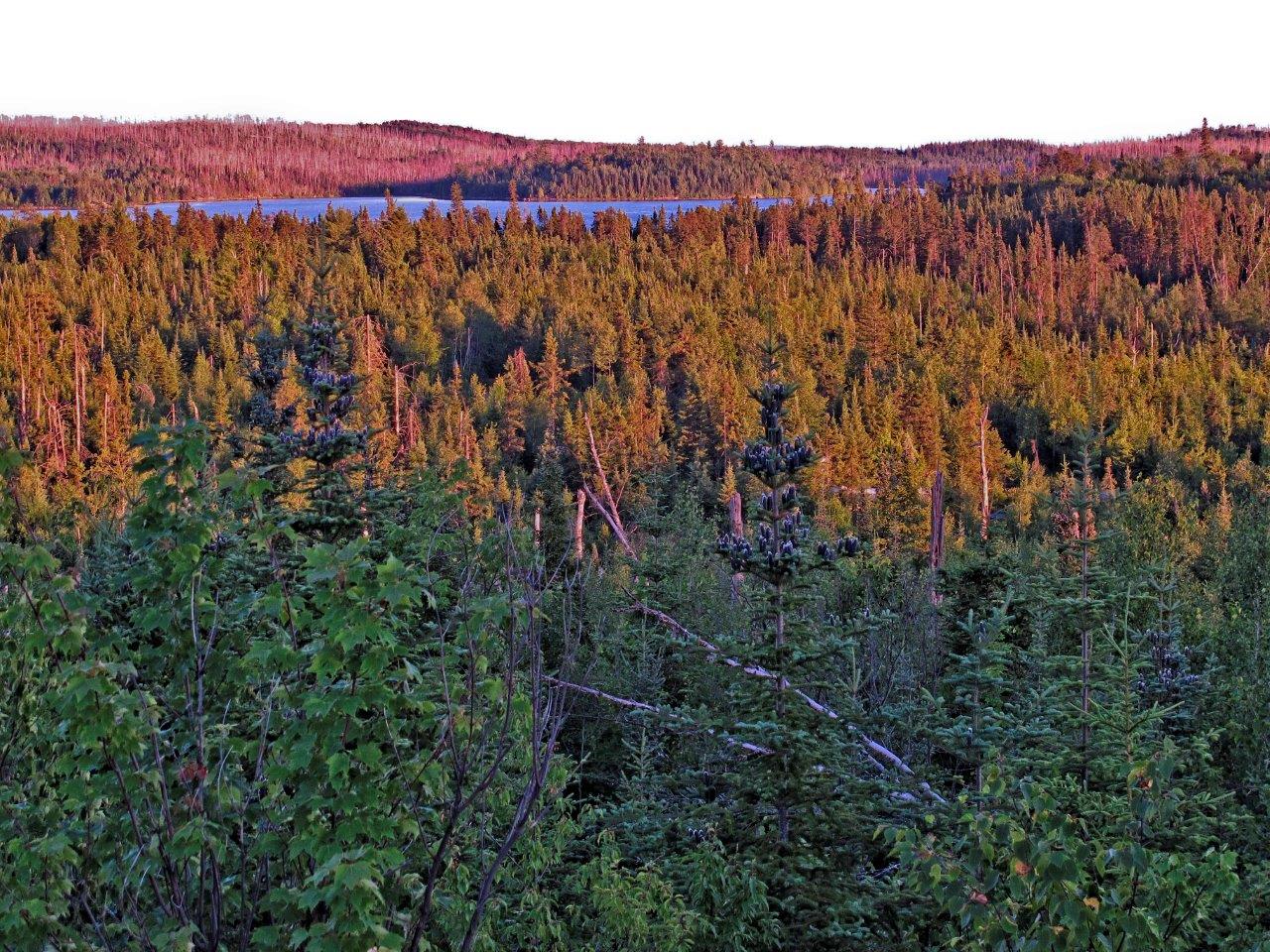 The Moose Ridge Trail in the fall.