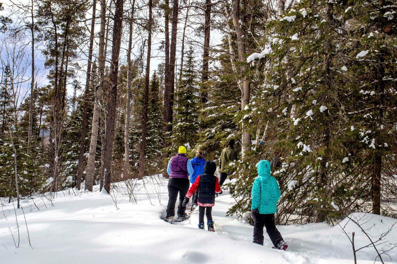 Snowshoers in a forest.