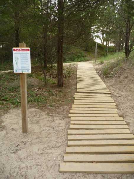 A rolling boardwalk at Pinery.
