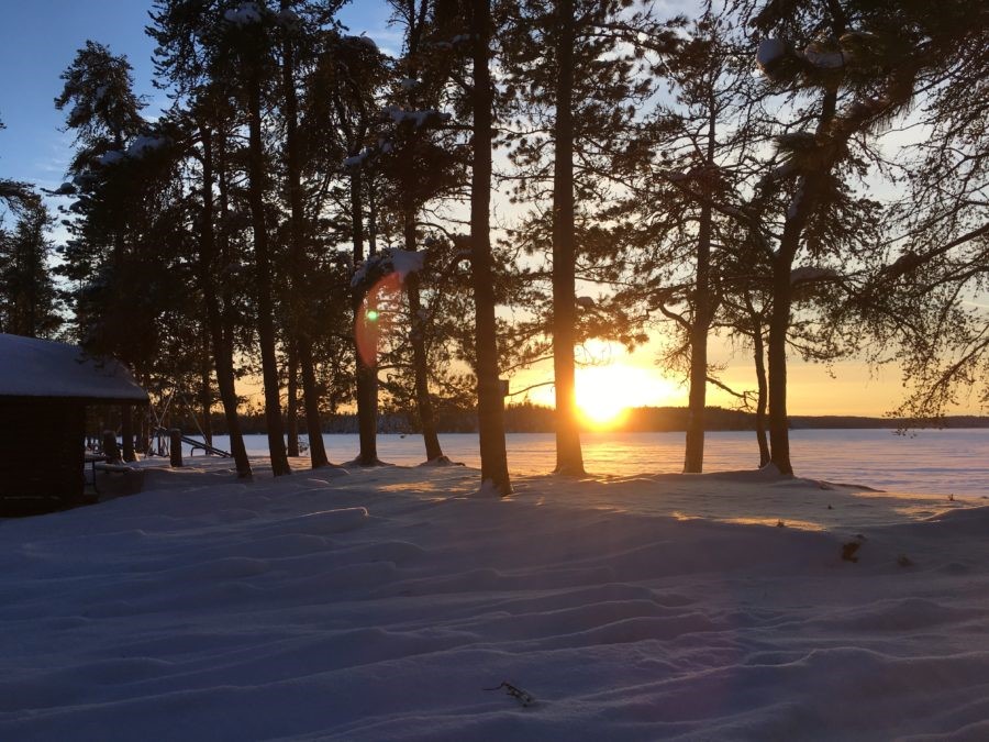 The sun rises in February over a snow-covered ground as it peeks between trees.