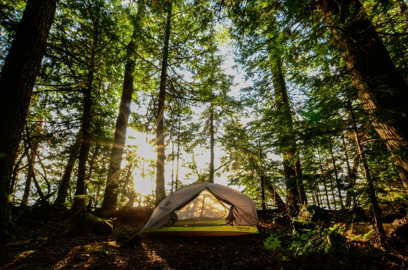 Une tente sur un emplacement de camping 
