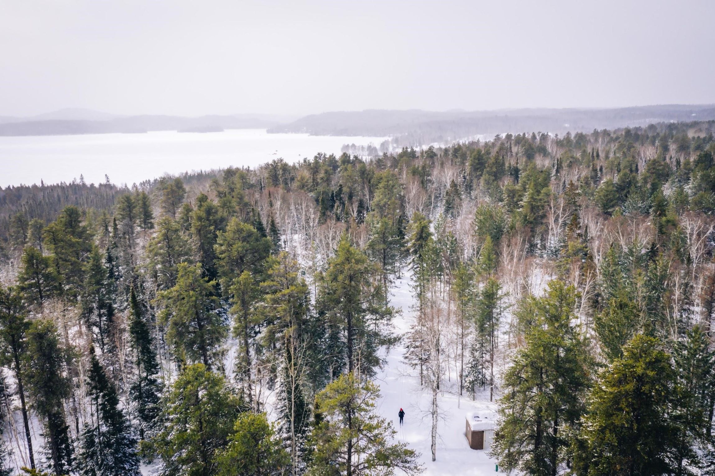 Landscape shot of frozen Windy Lake forest