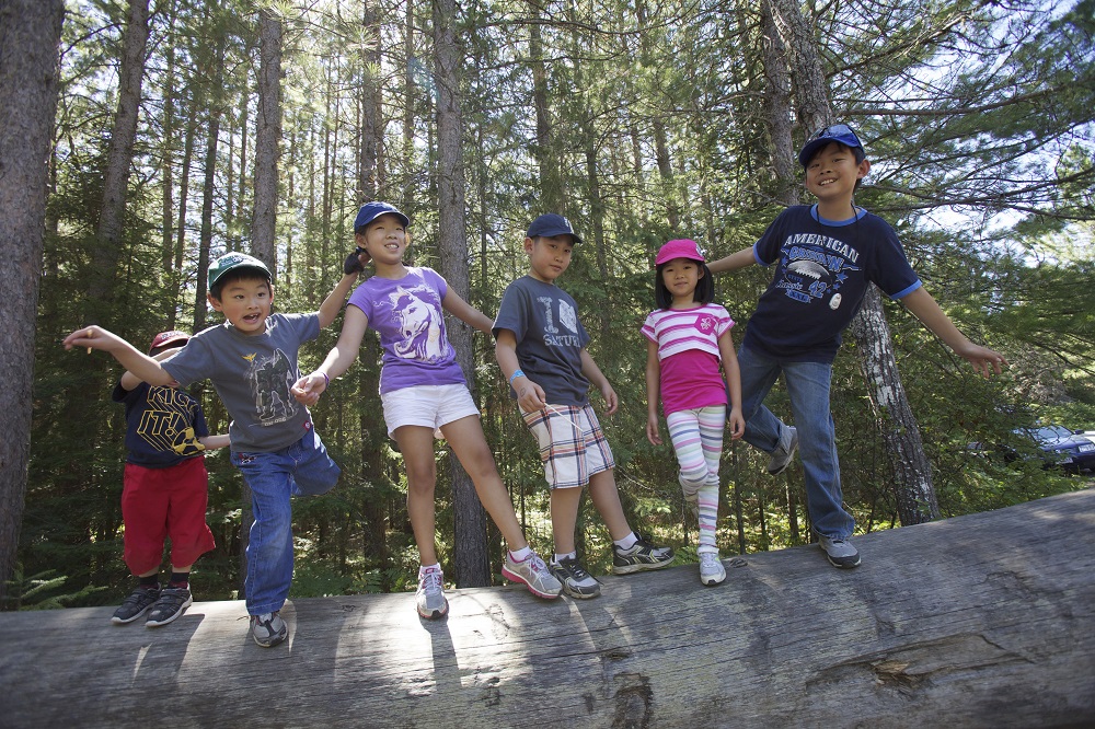 children standing on log