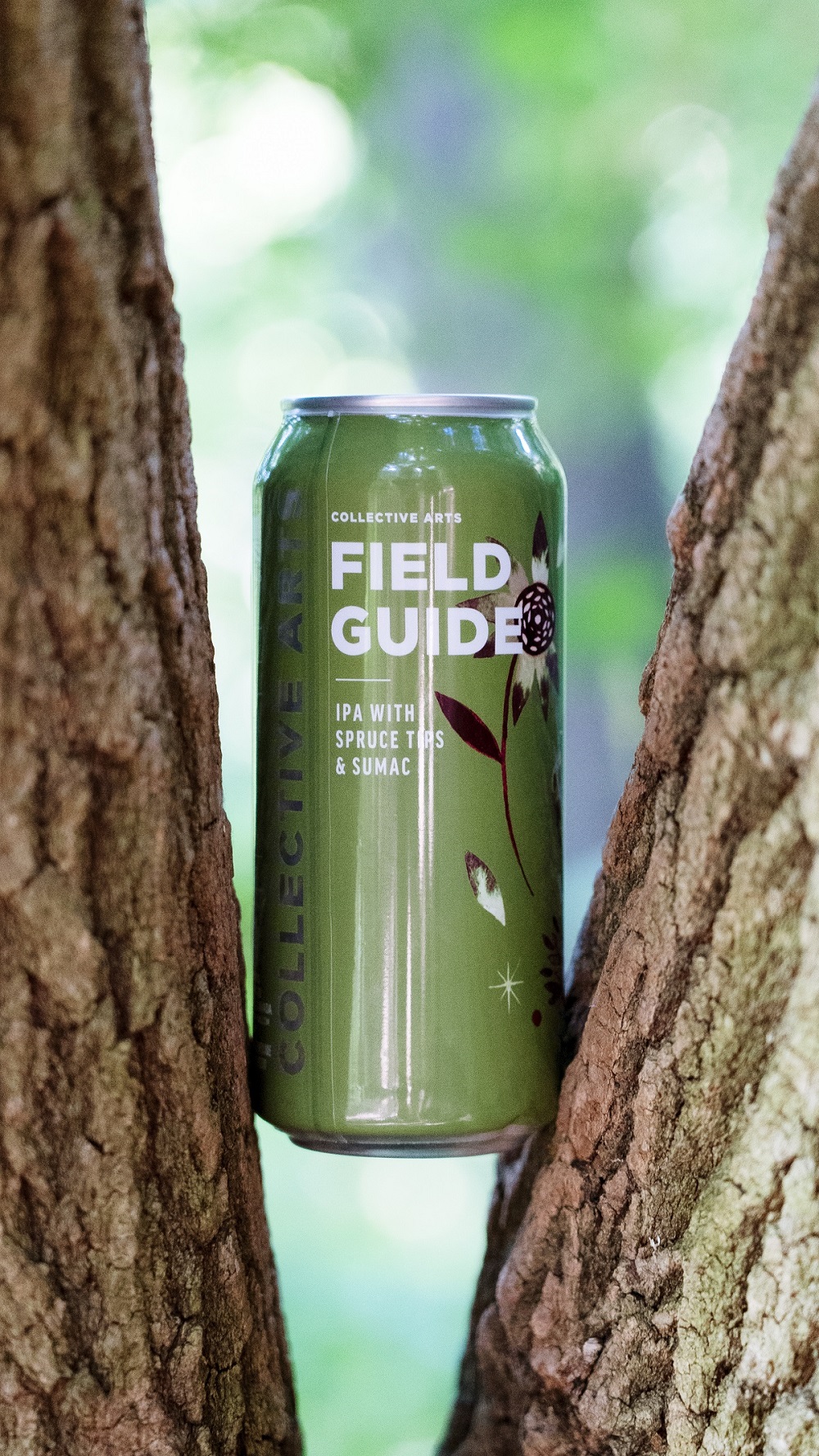 green "Field Guide" IPA can wedged between two tree branches