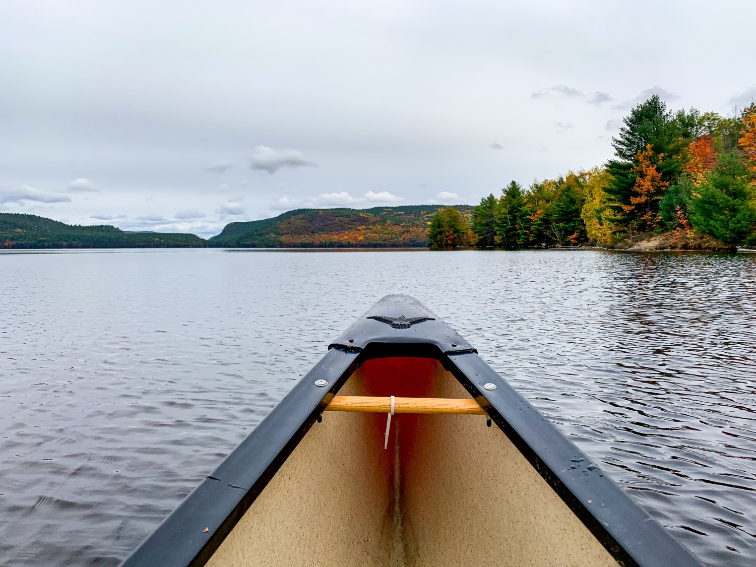 The front of a canoe in a river pointing towards a multicolour treeline in the distance.
