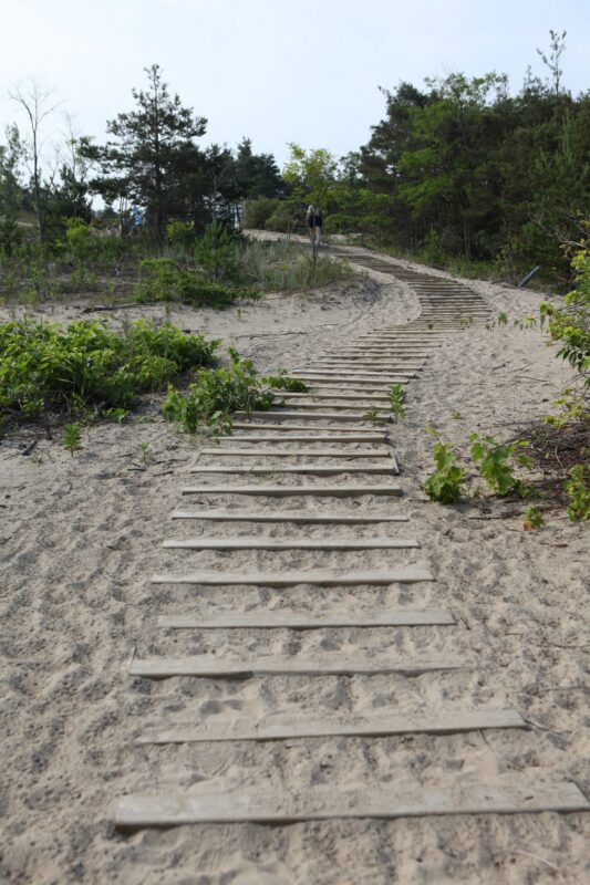 marches dans le sable menant à une colline sur un sentier de randonnée pédestre