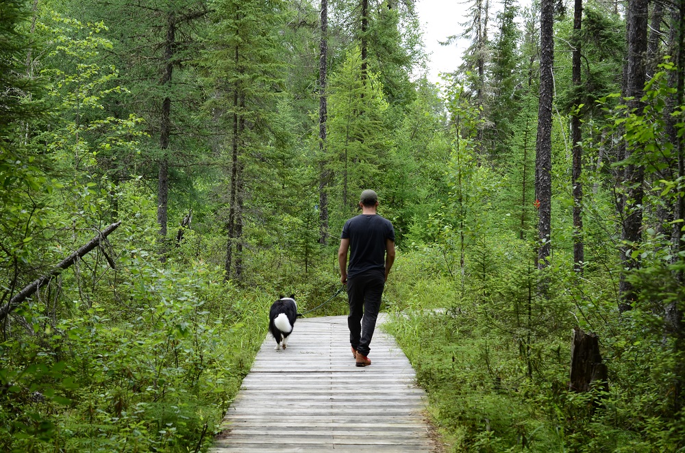 Une personne marchant avec un chien