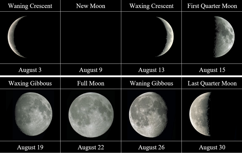 lunar chart