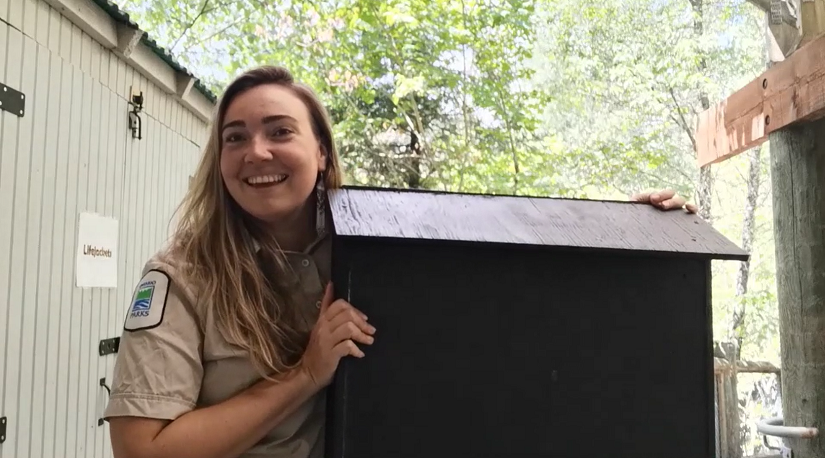 Un membre du personnel du parc tenant un nichoir pour chauves-souris