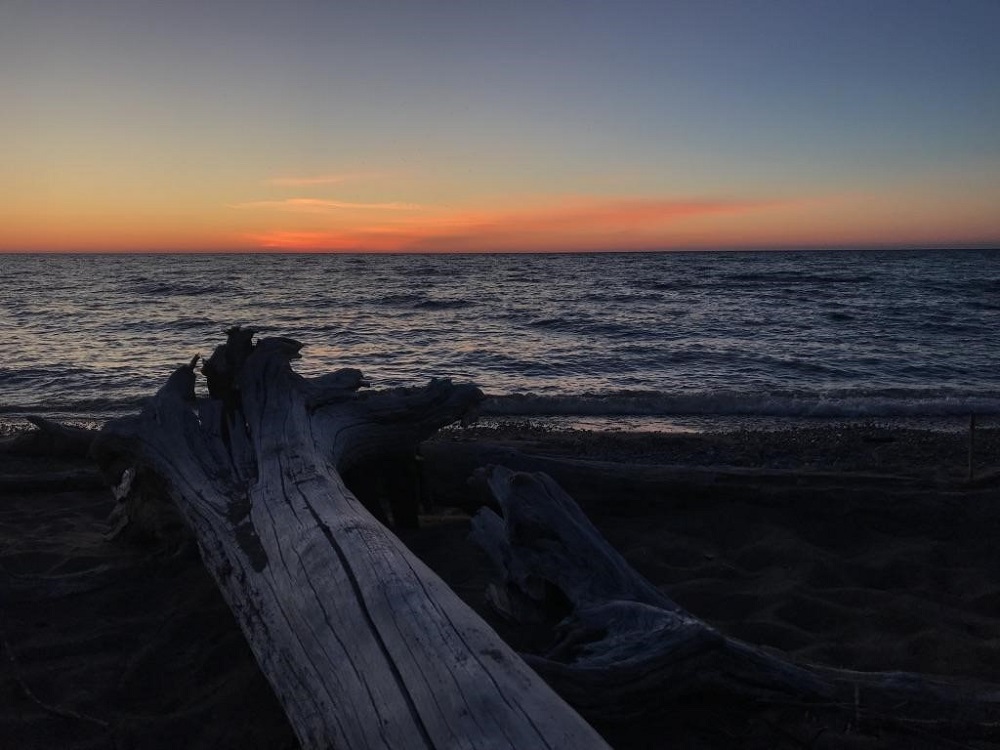 driftwood at sunset
