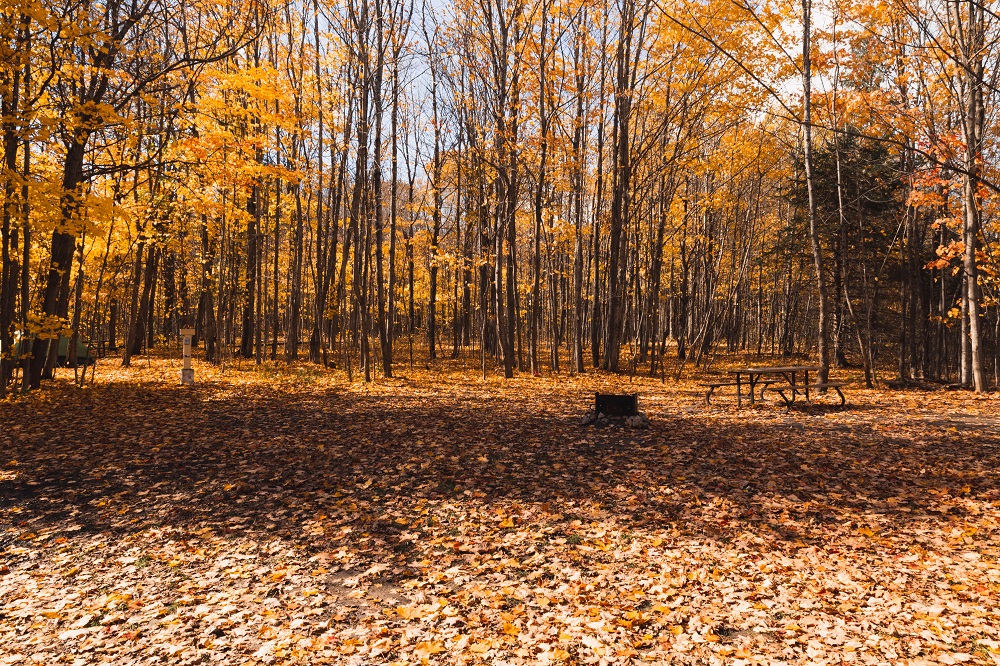 Emplacement de camping recouvert de feuilles d’automne