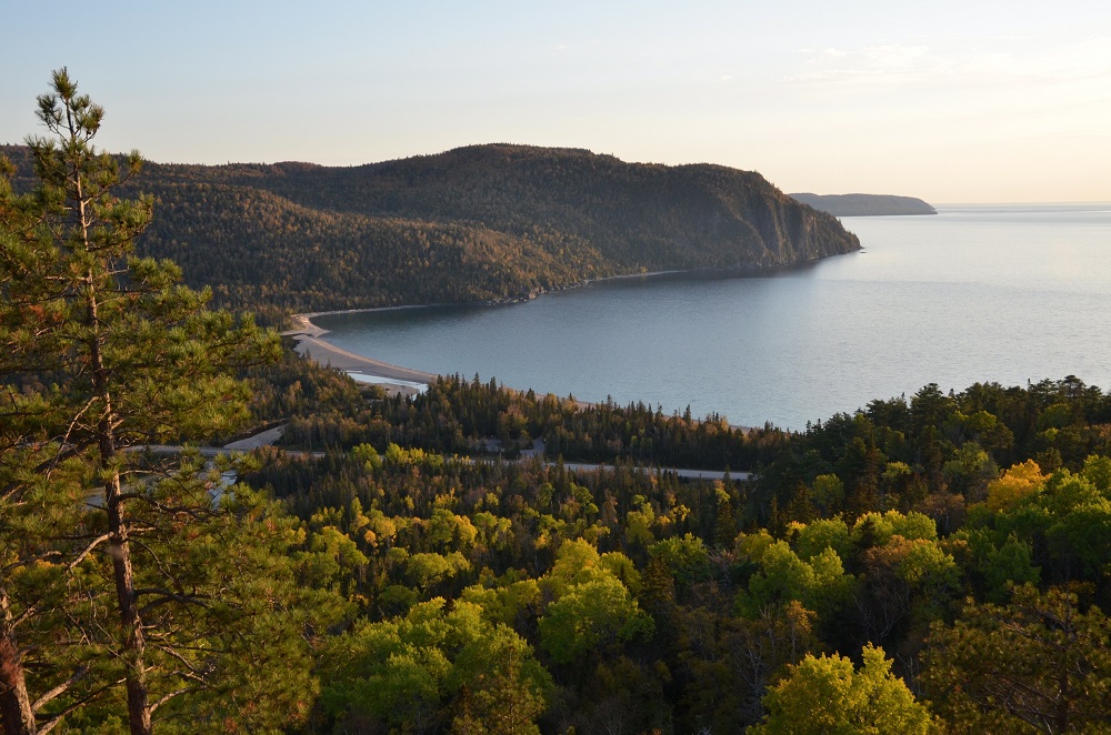view of forested shoreline with fall colours