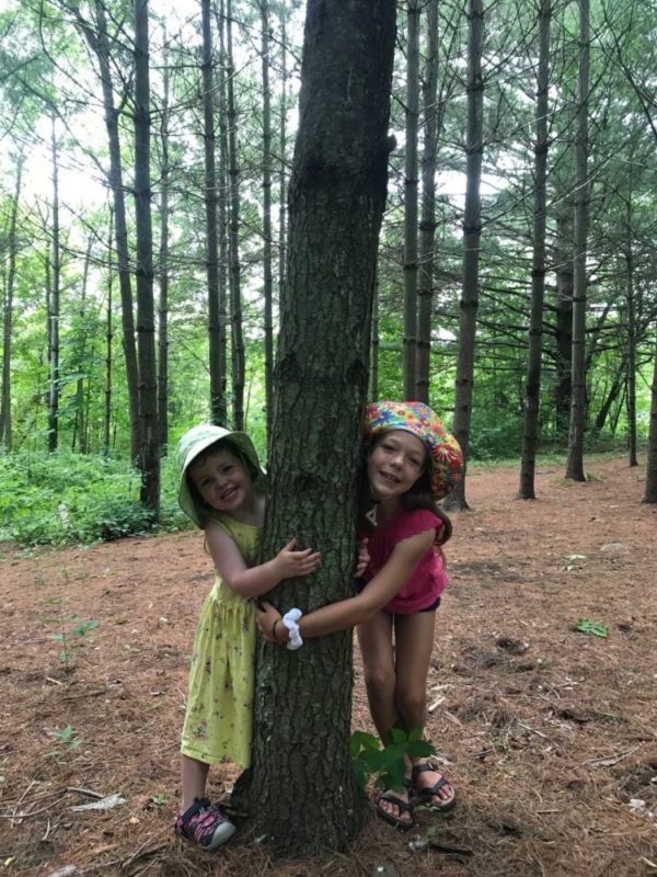 Children playing in an urban pine forest