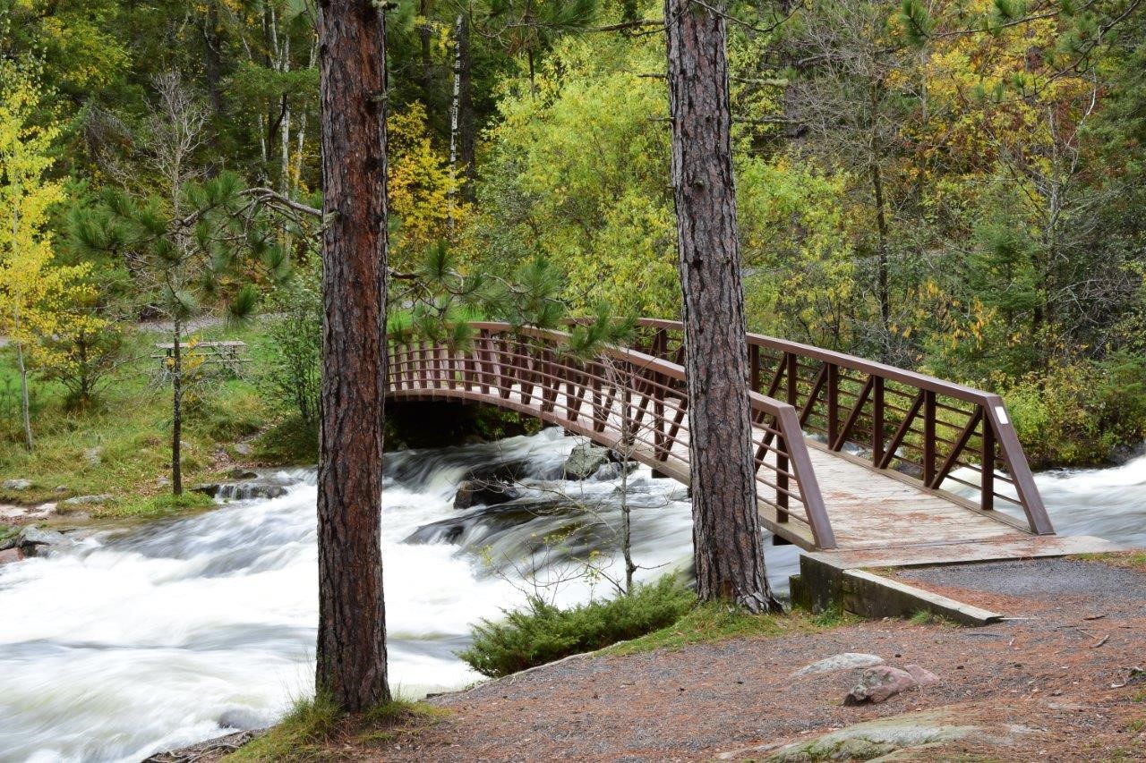 pont enjambant la rivière dans la forêt