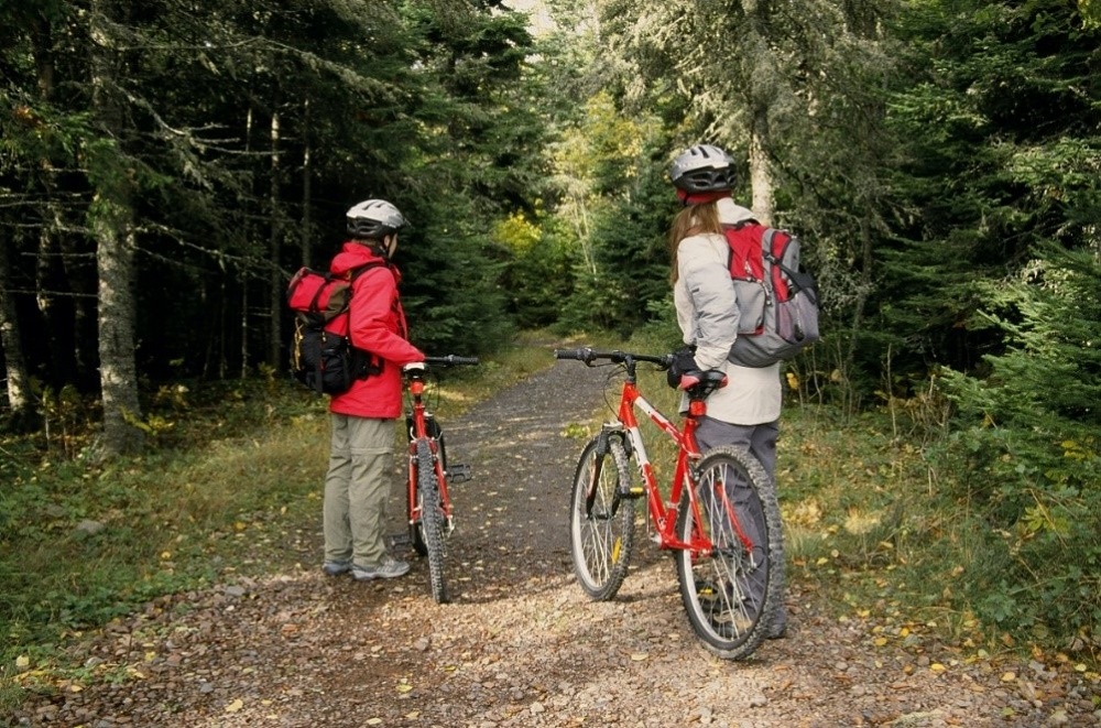 people with bikes on trail