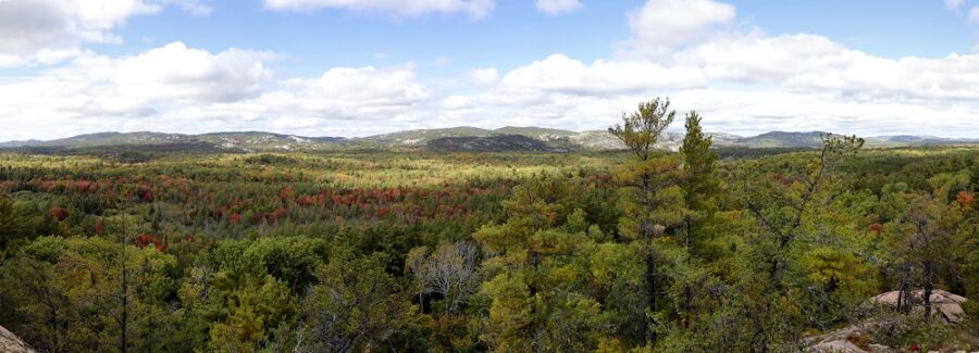 view of forest / cliffs from atop a lookout point