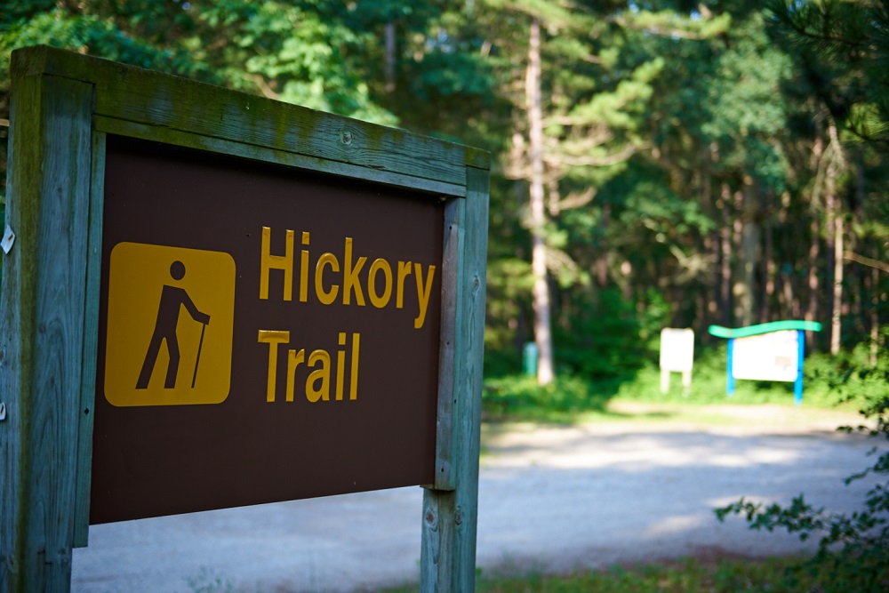 sentier Hickory