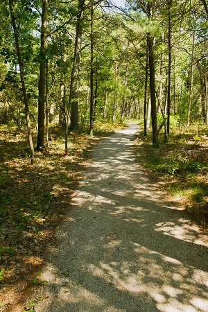 trail